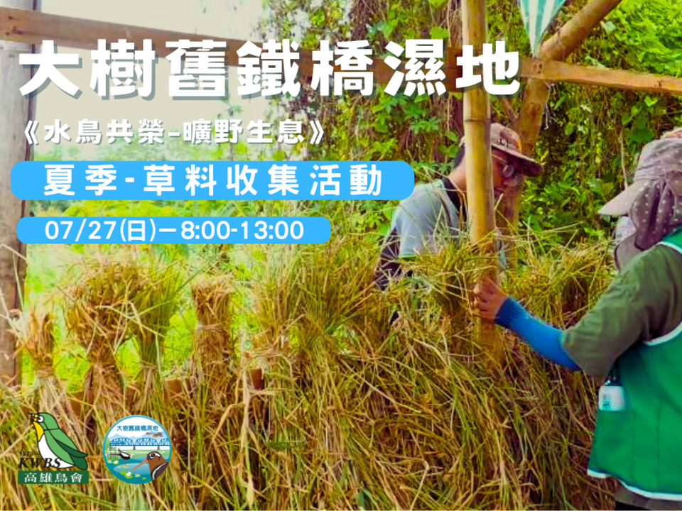 7/27【大樹舊鐵橋】夏季限定~水草種植活動