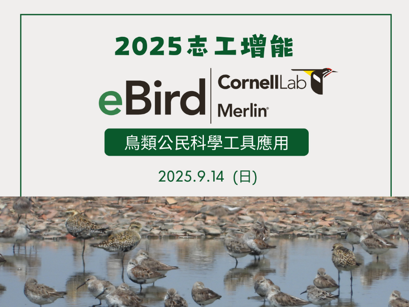 9/14【布袋鹽田】志工增能：鳥類公民科學工具-eBird應用戶外實作