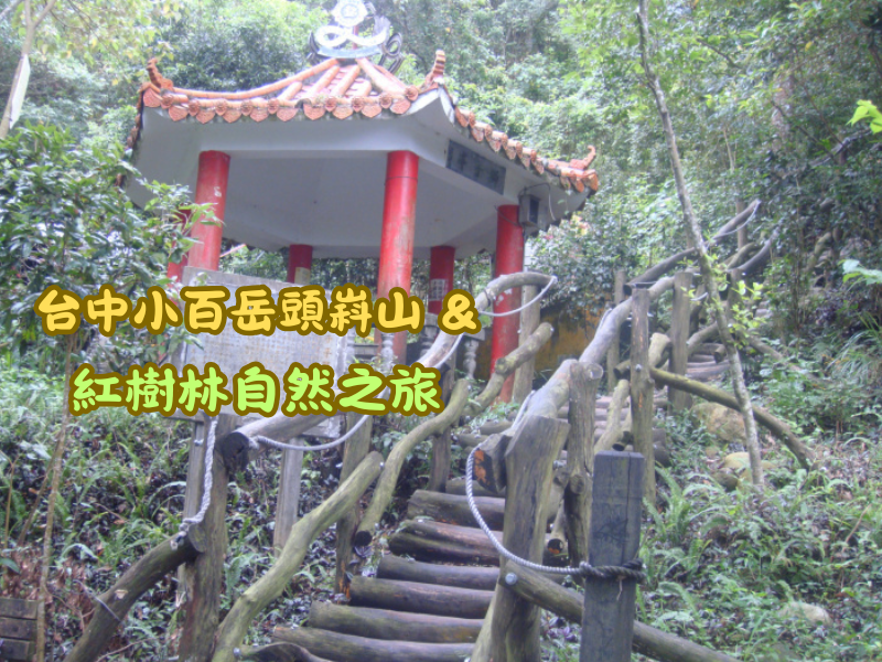 11.8-11.9 台中小百岳頭嵙山&紅樹林自然旅遊(健行級)