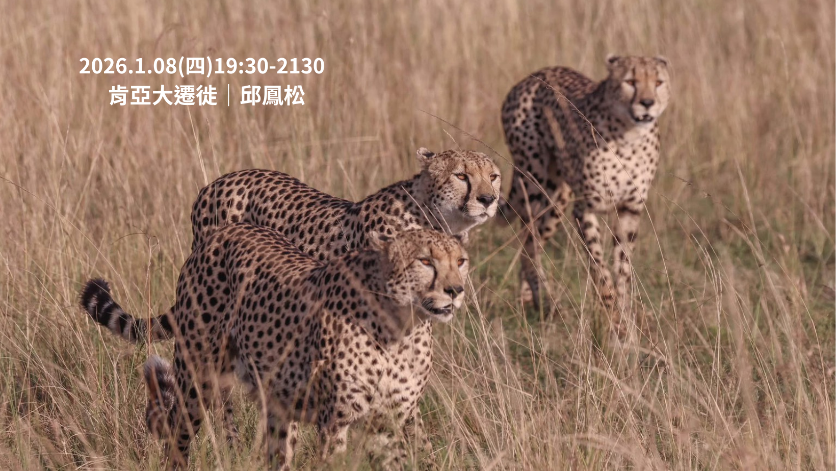 【生態講座】2026/1/08(四)肯亞大遷徙