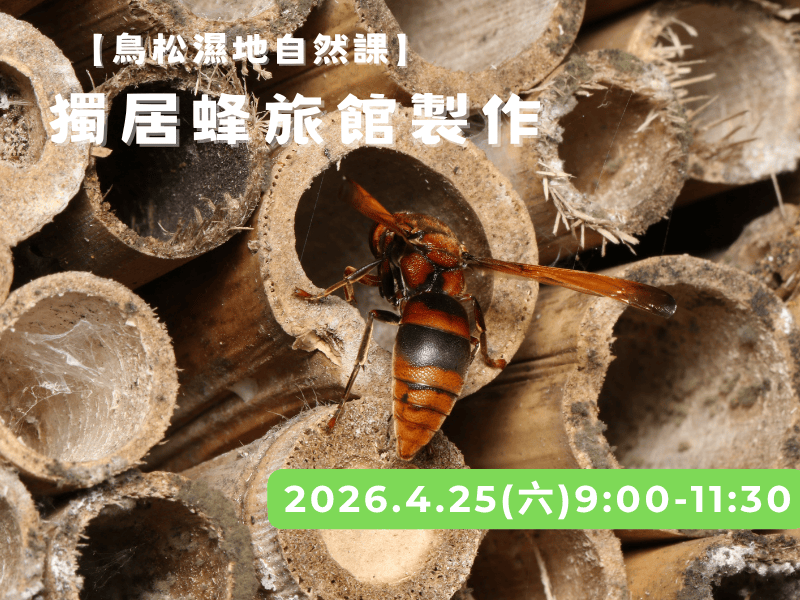4.25(六)鳥松濕地自然課~獨居蜂旅館製作