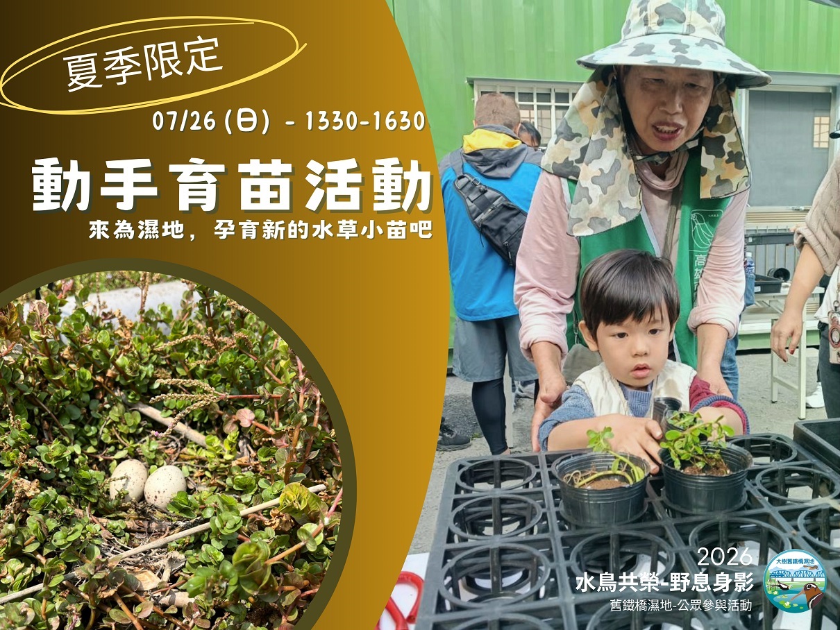 【大樹舊鐵橋溼地─水鳥共榮-野息身影】─2026.7.26 夏季活動～🌱水草種植活動