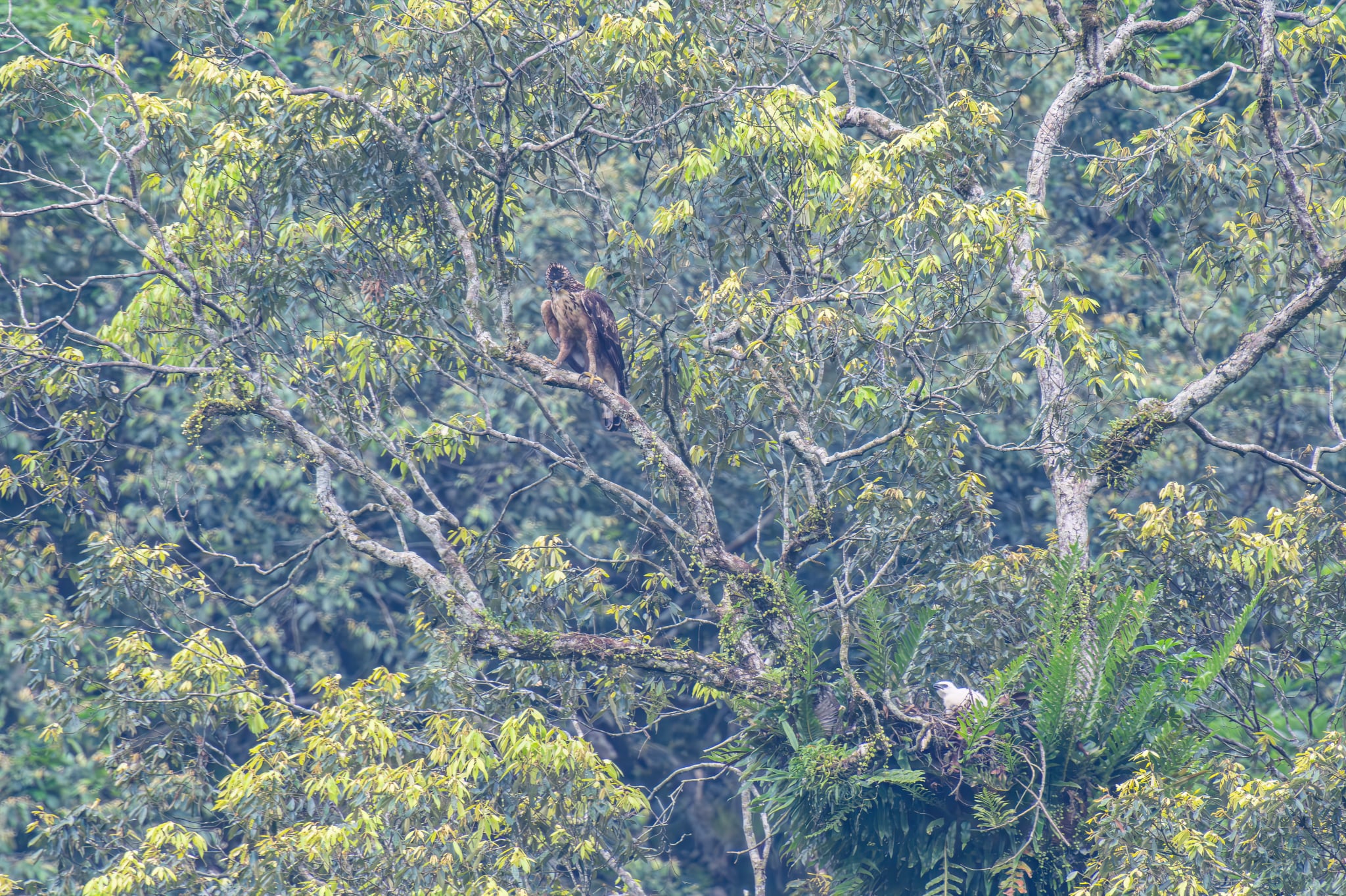 97b3c154 201d 427e 80f3 84cb3bb11272