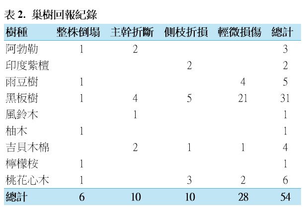 20241128山陀兒颱風 黃鸝巢樹在颱風後的狀況