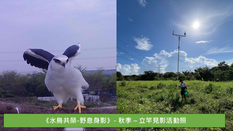 立竿見影5.png