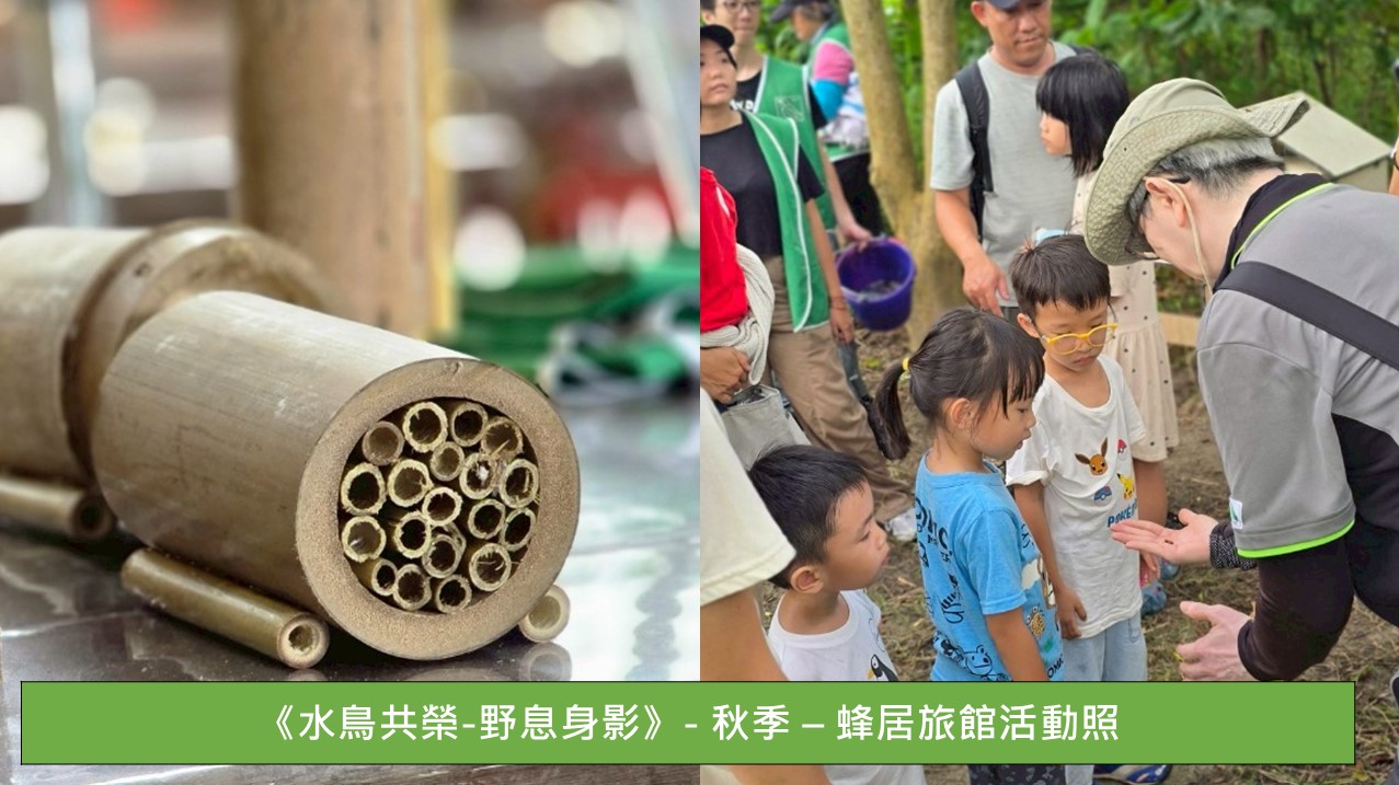 螢幕擷取畫面 2026 10 16