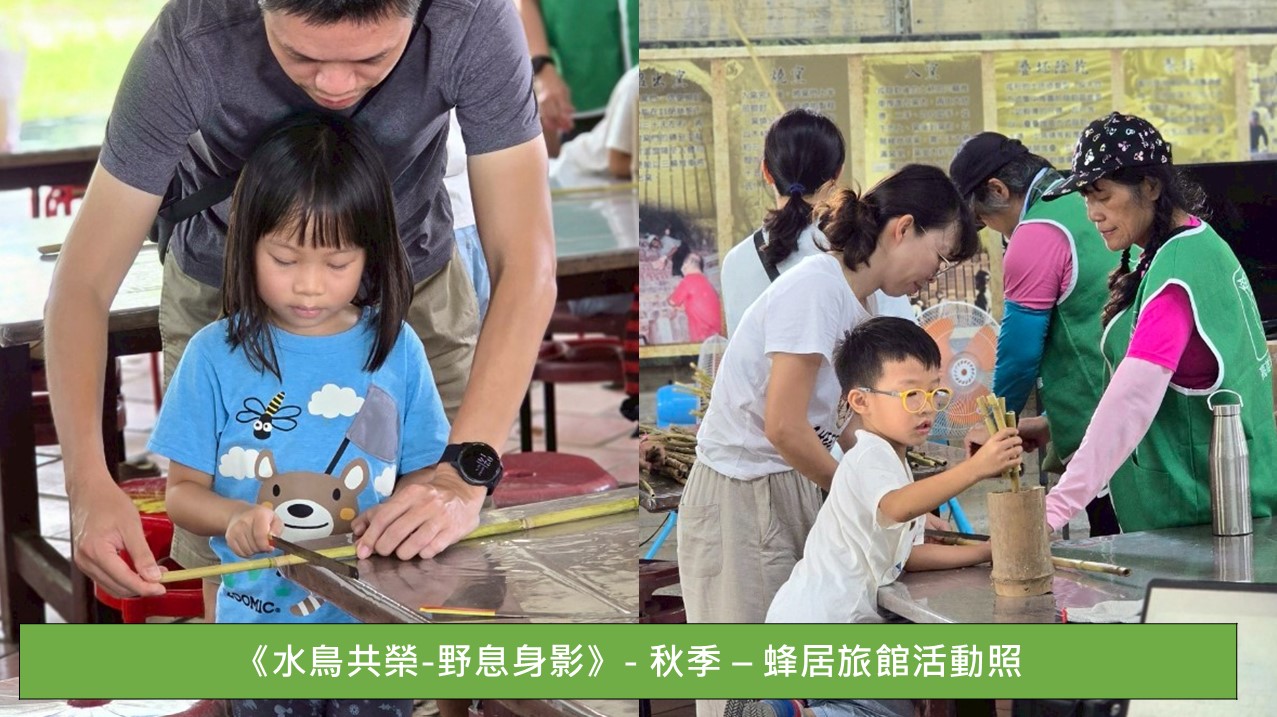 螢幕擷取畫面 2026 10 16 172354