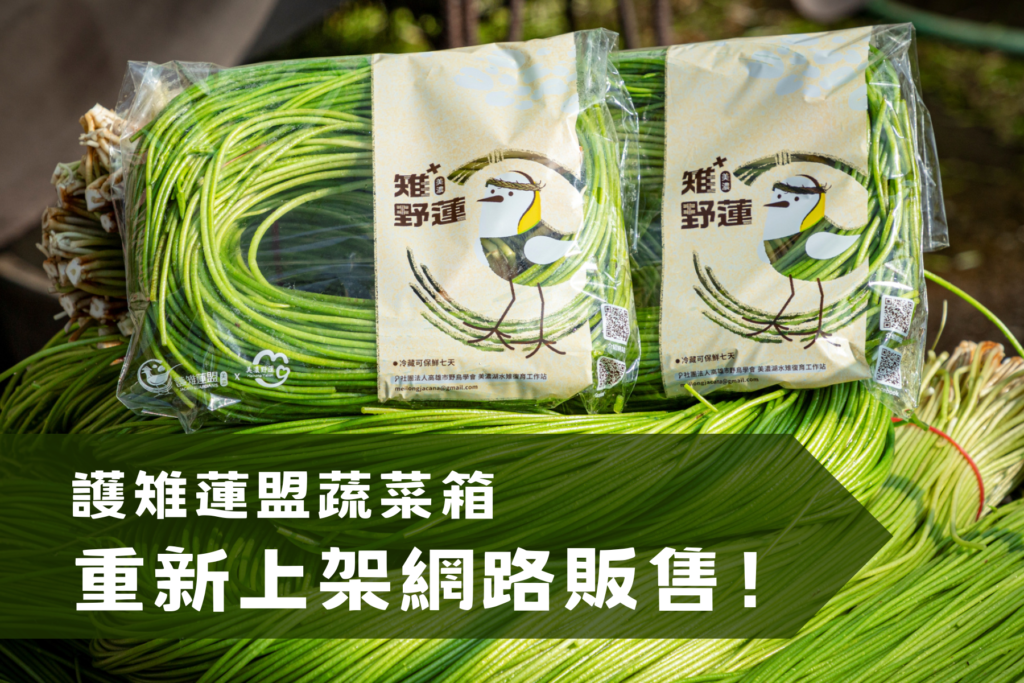 你的段落文字