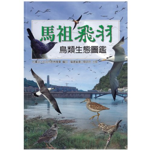 馬祖飛羽-鳥類生態圖鑑