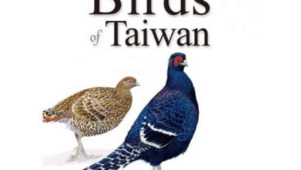 A Field Guide to the Birds of Taiwan (臺灣野鳥手繪圖鑑英文版)